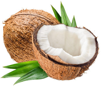 Noix de coco