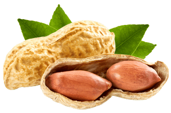 Cacahuètes grillées