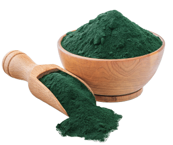 Extrait de spiruline bleue