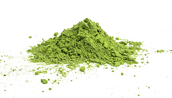 Feuilles de thé vert matcha en poudre