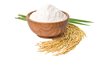 Protéines de riz en poudre